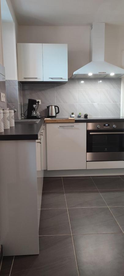 Logement Cosy Et Spacieux, A 2 Pas Du Centre-Ville Colmar Ngoại thất bức ảnh