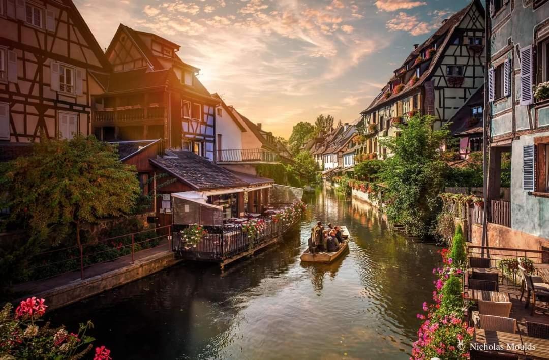 Logement Cosy Et Spacieux, A 2 Pas Du Centre-Ville Colmar Ngoại thất bức ảnh