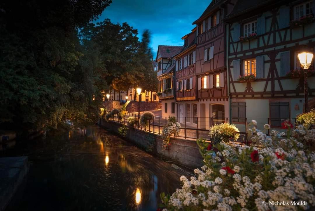 Logement Cosy Et Spacieux, A 2 Pas Du Centre-Ville Colmar Ngoại thất bức ảnh
