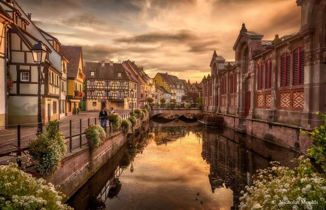 Logement Cosy Et Spacieux, A 2 Pas Du Centre-Ville Colmar Ngoại thất bức ảnh